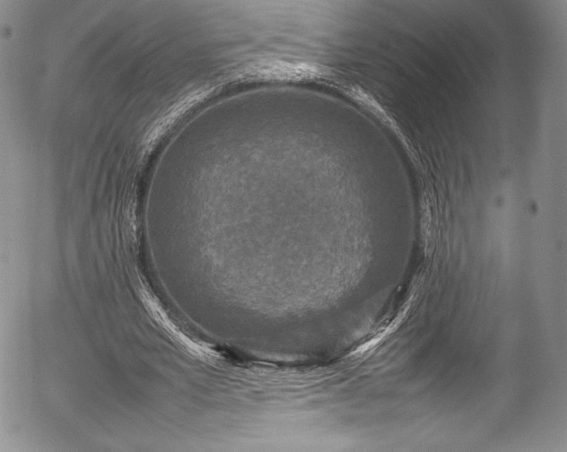 X0000054370581200508011223