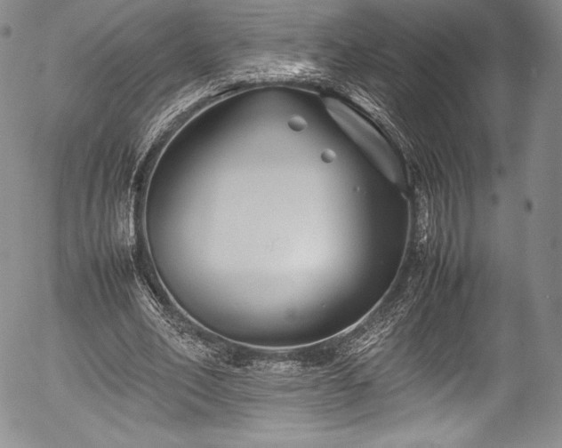 X0000054370582200508011223