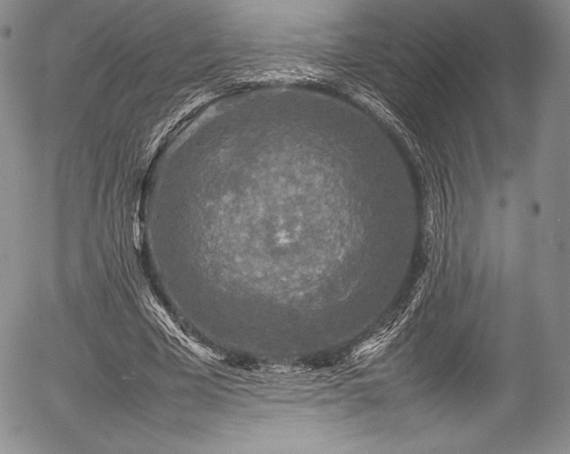 X0000054370585200508011223