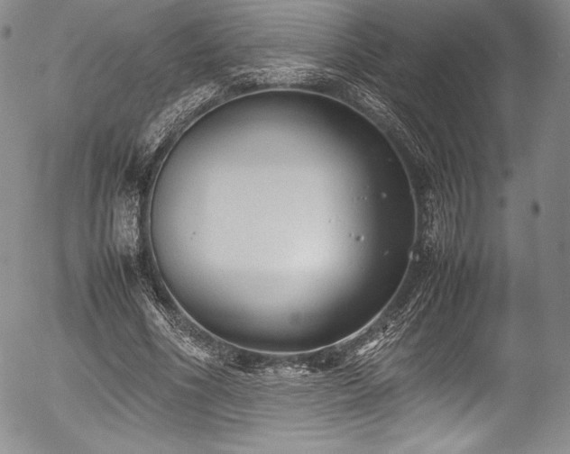 X0000054370586200508011223