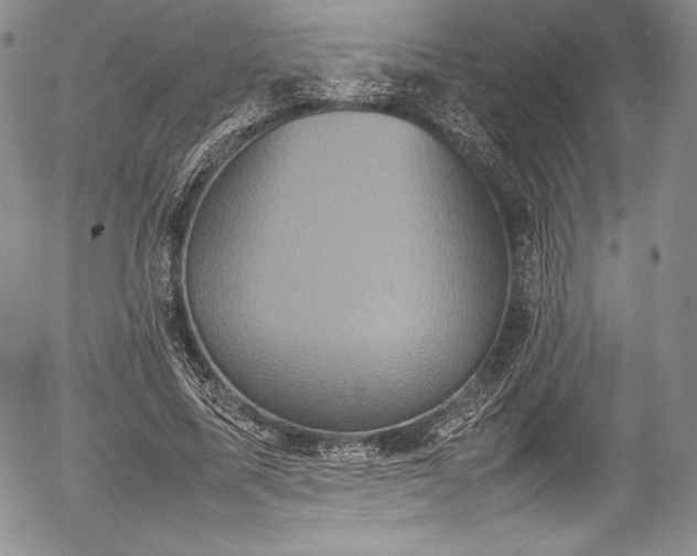 X0000054370587200508011223