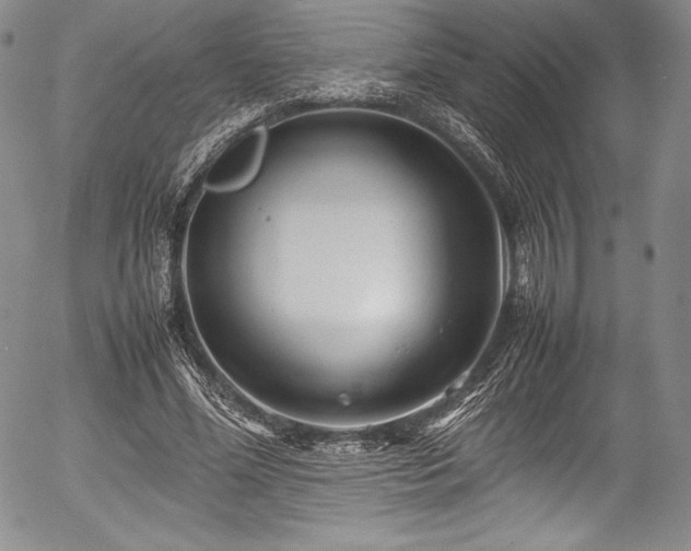 X0000054370588200508011222