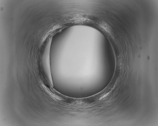 X0000054370589200508011222