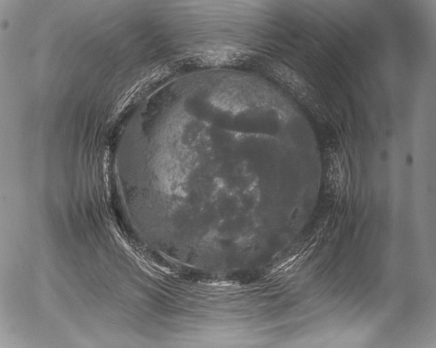 X0000054370590200508011222