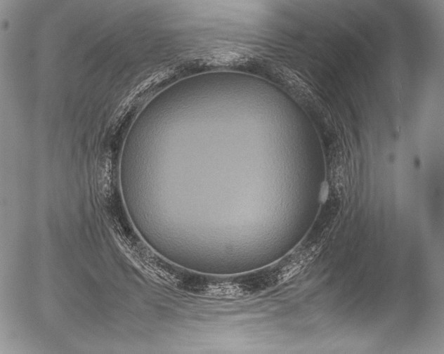 X0000054370591200508011222