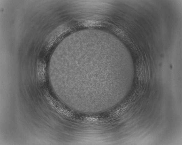 X0000054370592200508011222