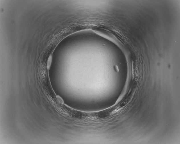 X0000054370593200508011222