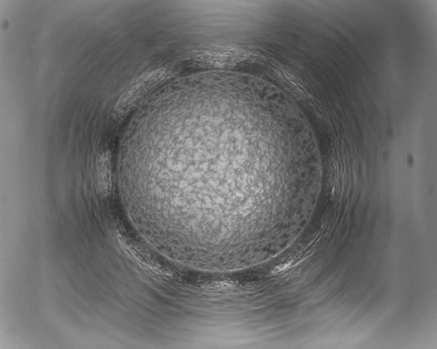 X0000054370594200508011222