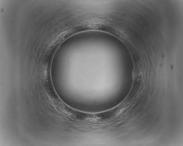 X0000054370595200508011222