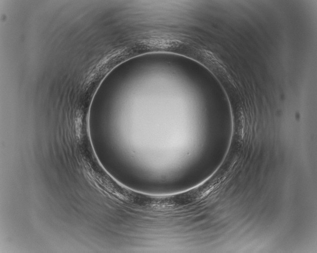 X0000054370596200508011222