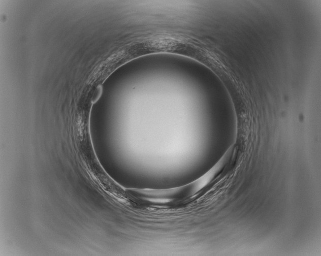 X0000054370597200508011222