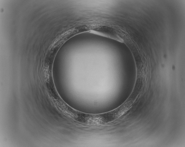 X0000054370599200508011222