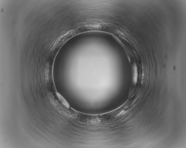 X0000054370600200508011222