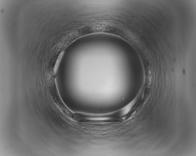 X0000054370601200508011222