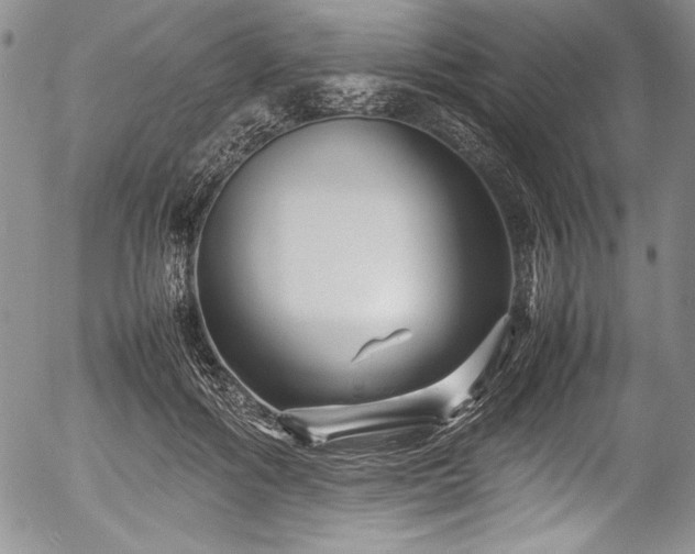 X0000054370602200508011222