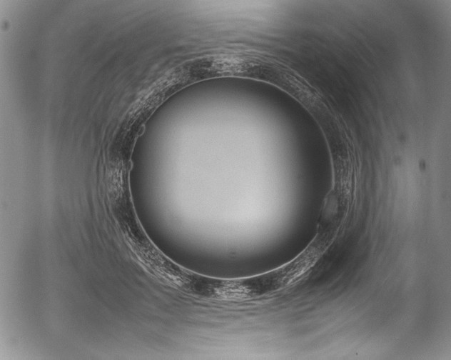 X0000054370603200508011222