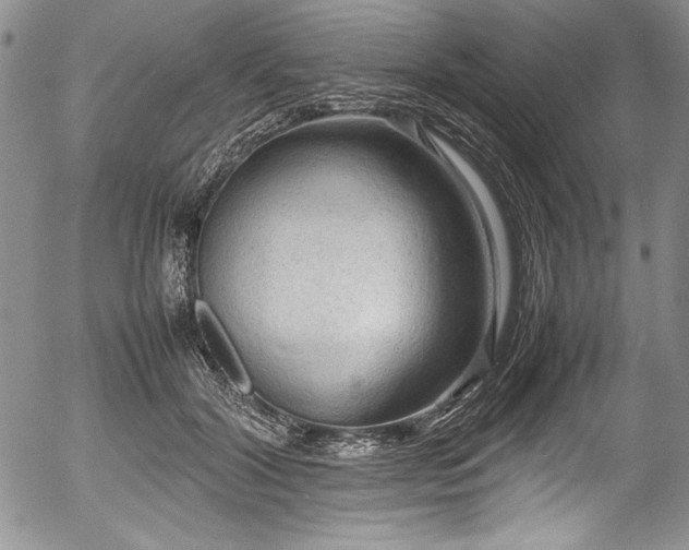 X0000054370604200508011222