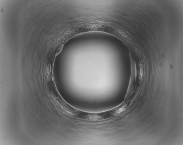 X0000054370605200508011222