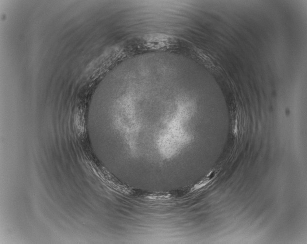 X0000054370606200508011222