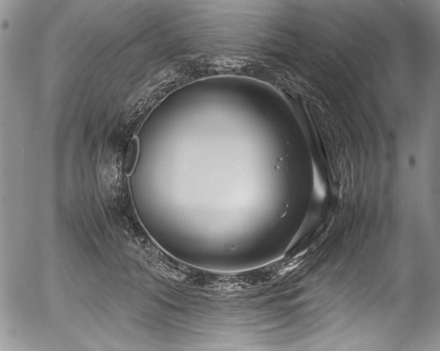 X0000054370608200508011222