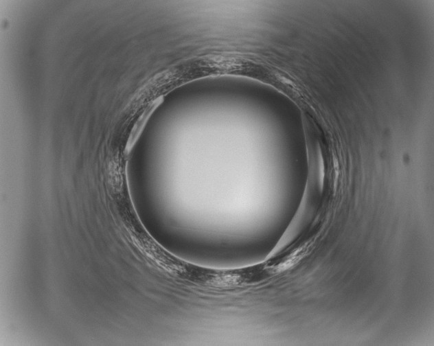 X0000054370609200508011222