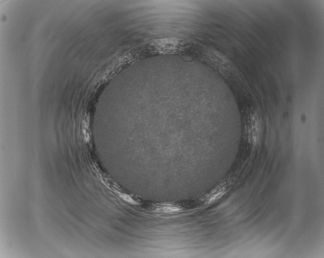 X0000054370610200508011222