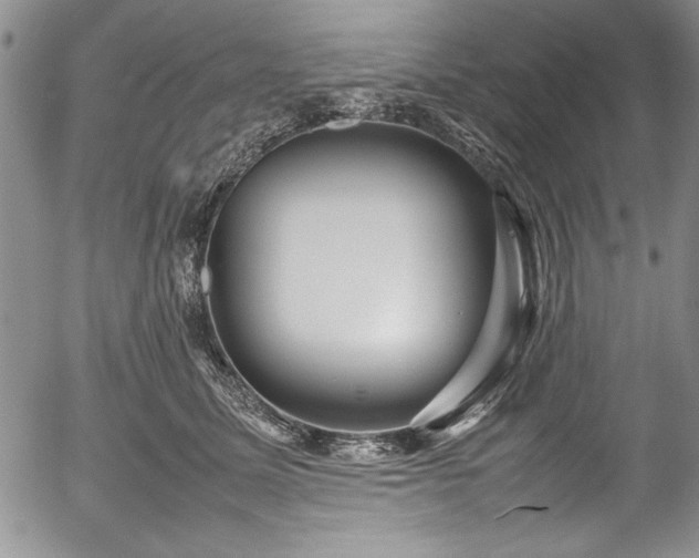 X0000054370611200508011222