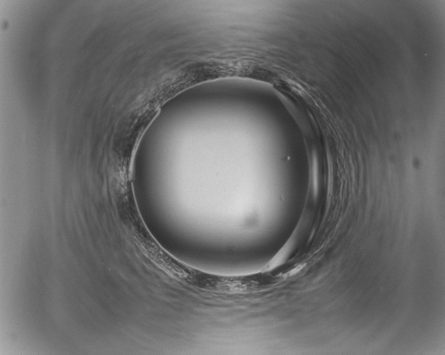 X0000054370613200508011222