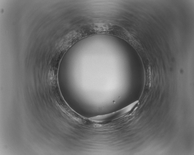 X0000054370614200508011222