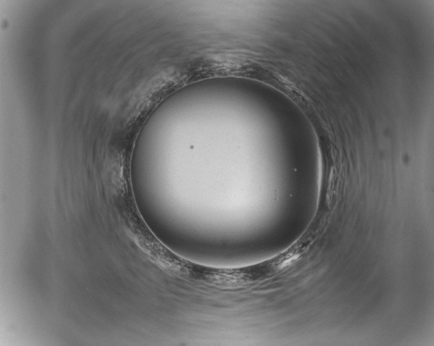 X0000054370615200508011222