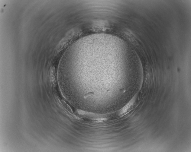 X0000054370616200508011222