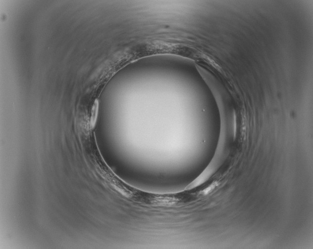 X0000054370617200508011222