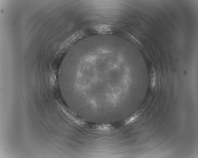 X0000054370618200508011222