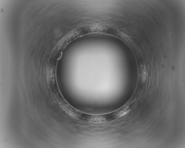 X0000054370619200508011222