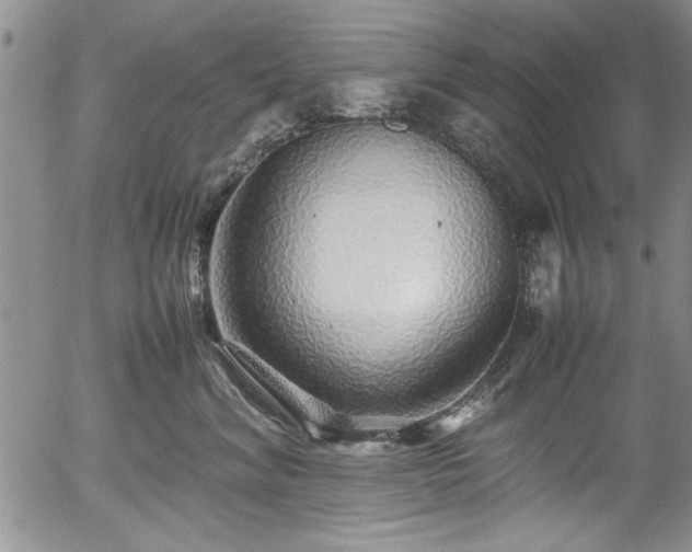 X0000054370620200508011222