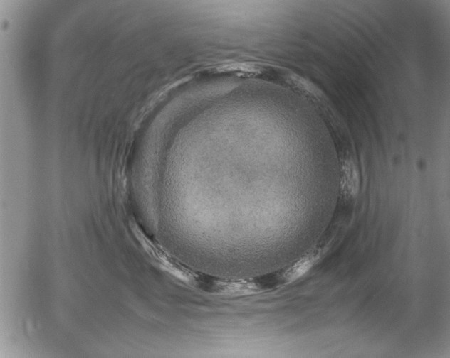 X0000054370621200508011222