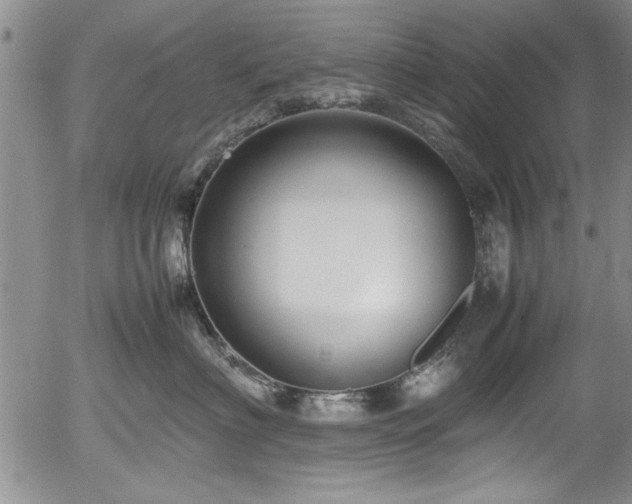 X0000054370622200508011222