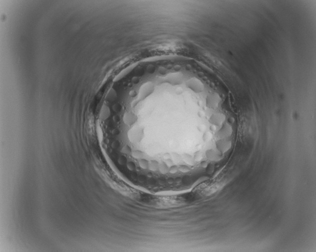 X0000054370623200508011222