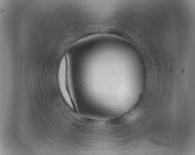 X0000054370624200508011222