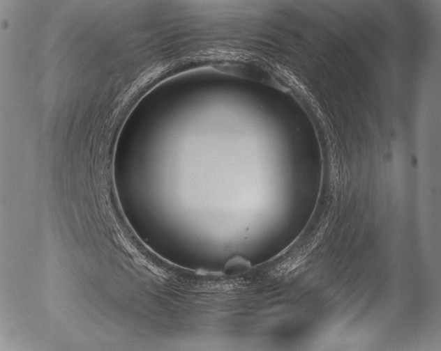 X0000054370625200508011221