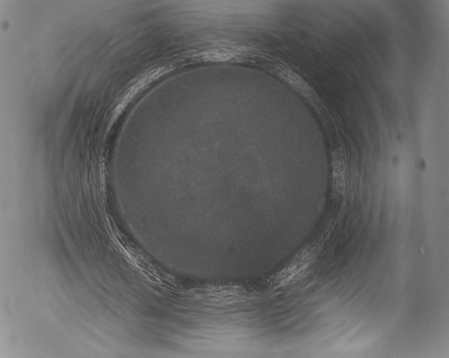 X0000054370626200508011221