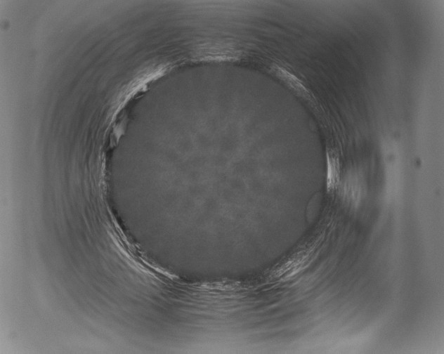 X0000054370627200508011221