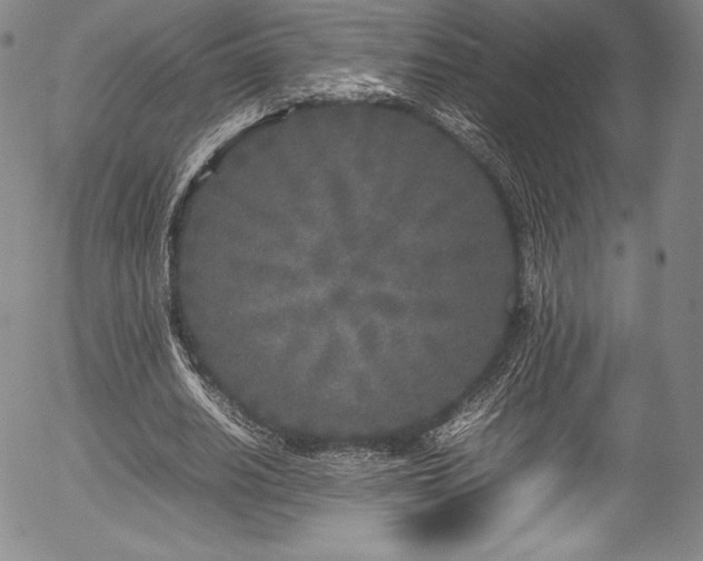 X0000054370630200508011221