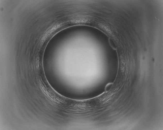 X0000054370631200508011221