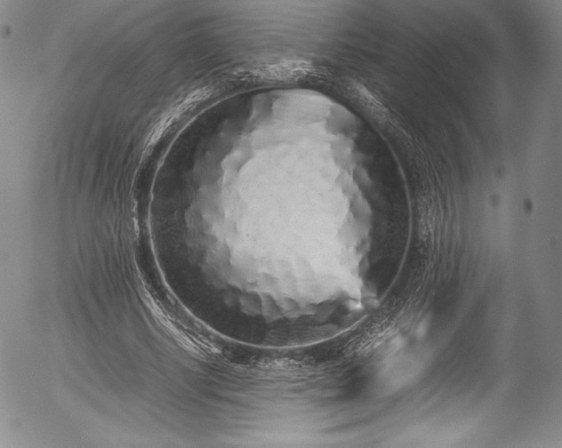 X0000054370634200508011221