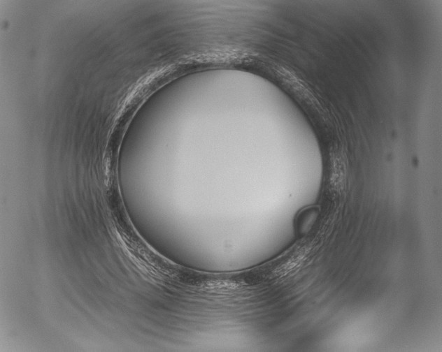 X0000054370636200508011221