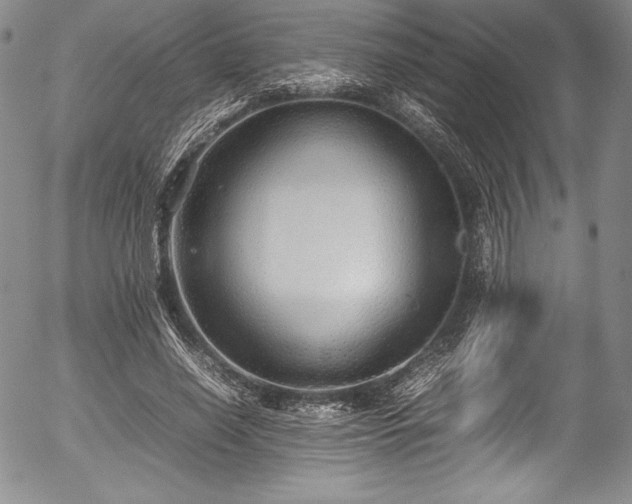 X0000054370638200508011221