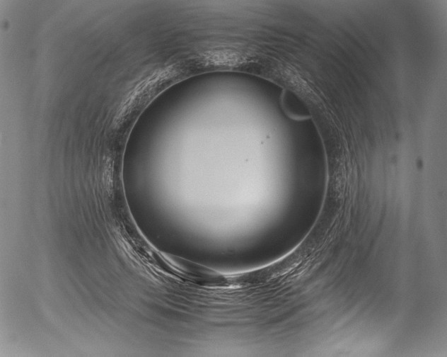 X0000054370639200508011221