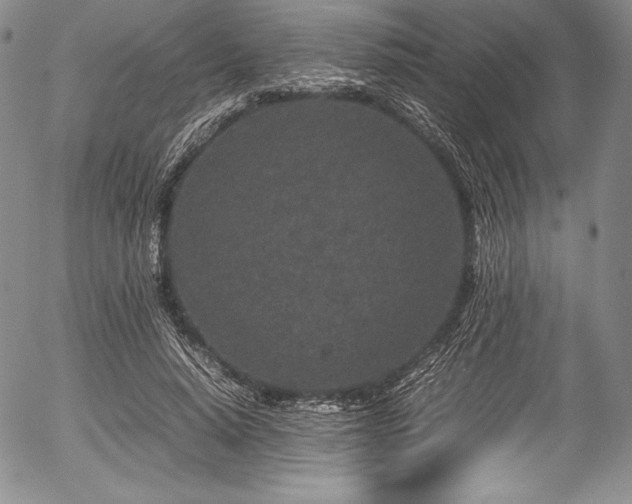 X0000054370640200508011221