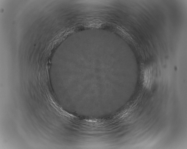 X0000054370641200508011221